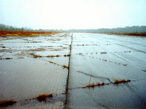 Overview photo of an apron pavement with a uniform rectangular pattern of high-severity           transverse and longitudinal cracks.  The pattern is the result of cracks that have reflected through the asphalt surface at the joints of the PCC slabs below.  In the photo, the cracks appear to be           very wide, and most have grass growing in them.